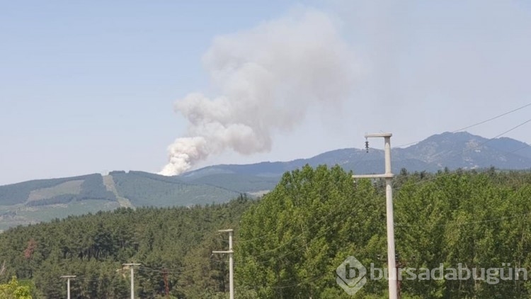 Bursa, Muğla ve Antalya'da orman yangını
