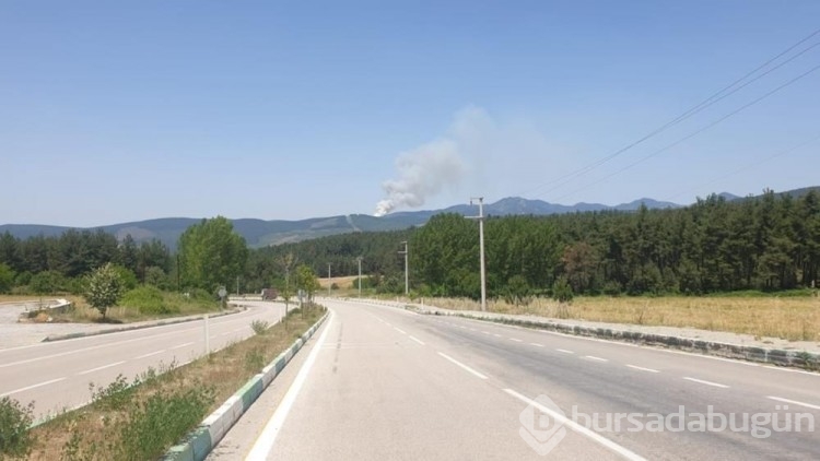 Bursa, Muğla ve Antalya'da orman yangını
