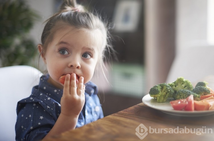 Türkiye'de sağlıklı ve dengeli beslenmenin maliyeti nedir?