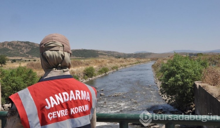 Kötü koku ve balık ölümlerine inceleme
