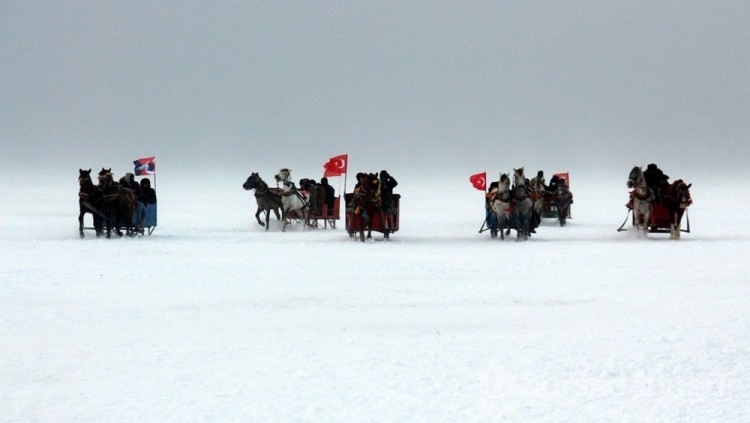 Çıldır Gölü, kuş cennetine döndü

