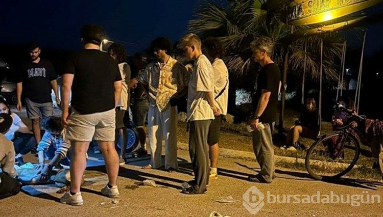 İzmir'de ölen 6 köpeğin tarım ilacıyla zehirlendiği ortaya çıktı