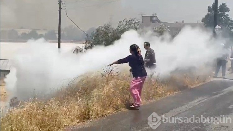 Antalya'da yerleşim yerine yakın ağaçlık alanda yangın
