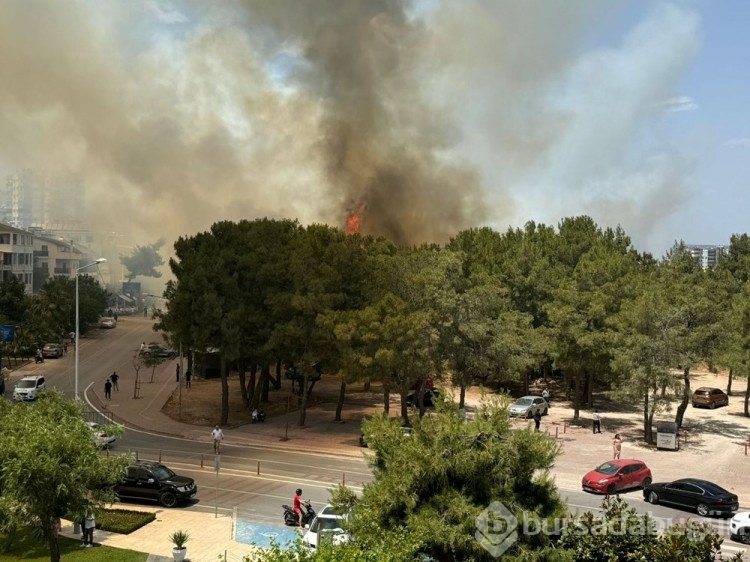 Antalya'da yerleşim yerine yakın ağaçlık alanda yangın
