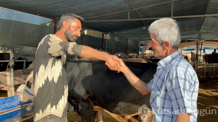 215 bin TL'den satıldı! Tam 1 ton 50 kiloluk
