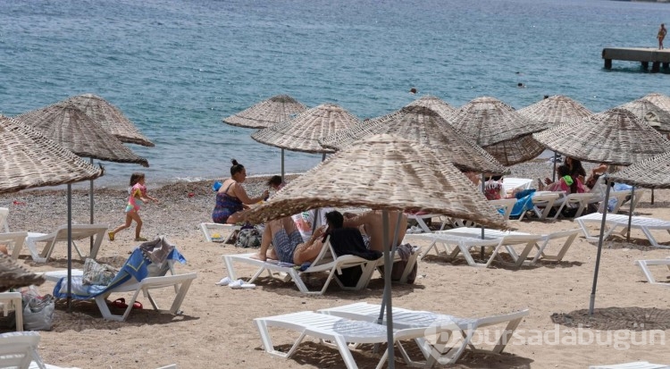 Bodrum kavruluyor! Şezlongları ağaç altlarına çektiler
