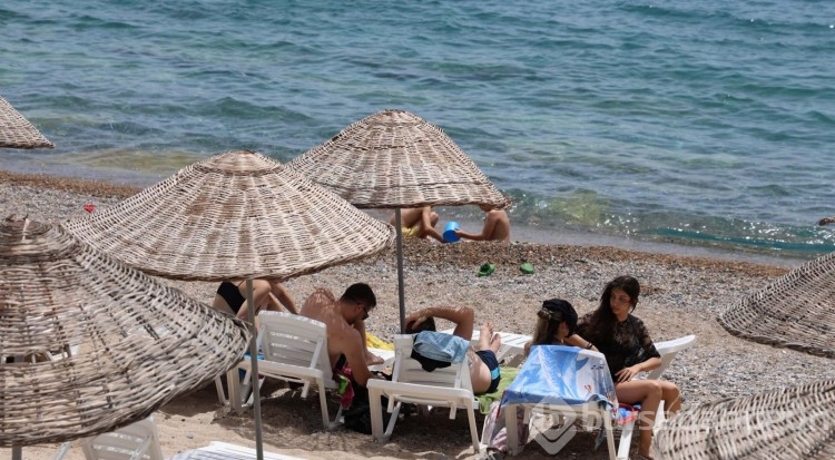 Bodrum kavruluyor! Şezlongları ağaç altlarına çektiler
