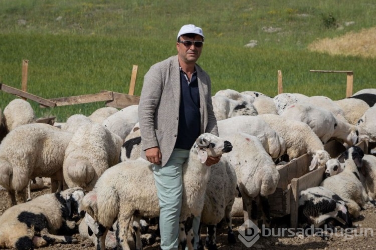 Kurban pazarlarında IBAN'lı önlem
