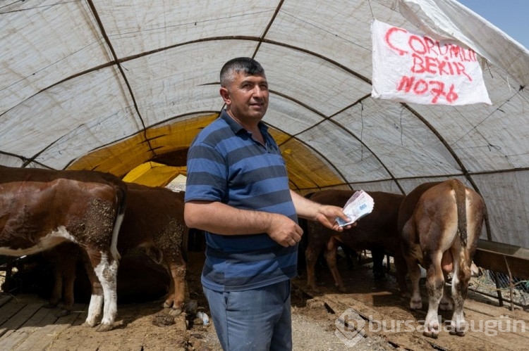 Kurban pazarlarında IBAN'lı önlem
