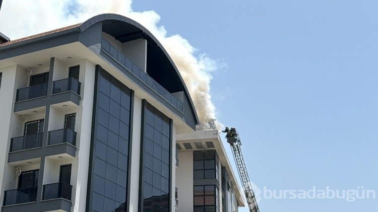 Alanya'da hukuk bürosunda yangın
