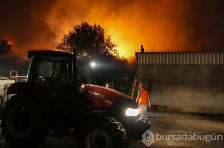 İzmir'in Selçuk ilçesinde orman yangınından görüntüler...
