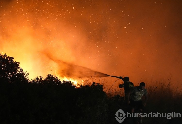 İzmir'in Selçuk ilçesinde orman yangınından görüntüler...
