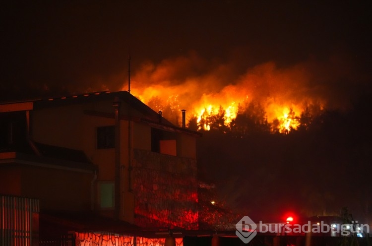 İzmir'in Selçuk ilçesinde orman yangınından görüntüler...
