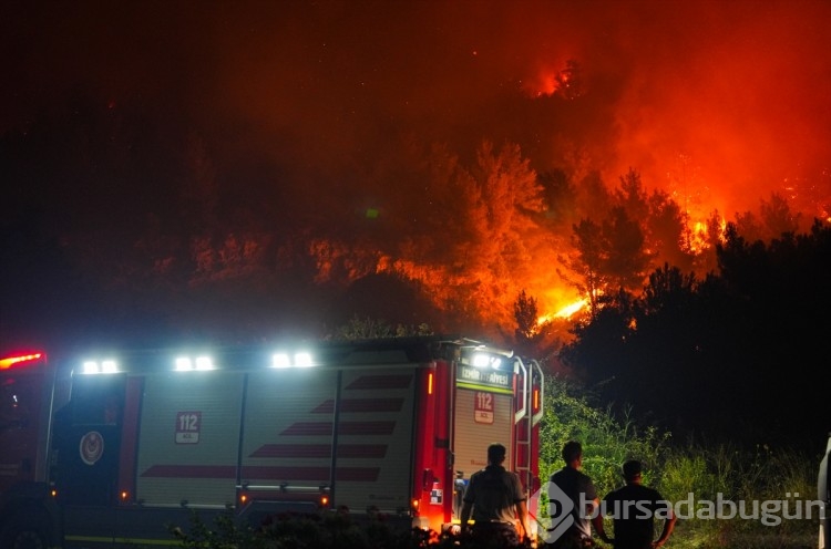 İzmir'in Selçuk ilçesinde orman yangınından görüntüler...
