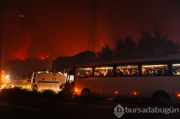 İzmir'in Selçuk ilçesinde orman yangınından görüntüler...
