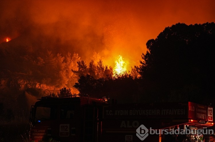 İzmir'in Selçuk ilçesinde orman yangınından görüntüler...
