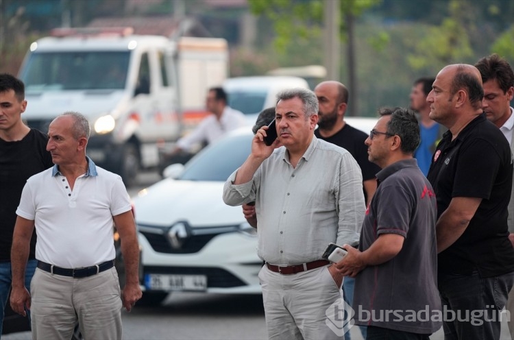 İzmir'in Selçuk ilçesinde orman yangınından görüntüler...
