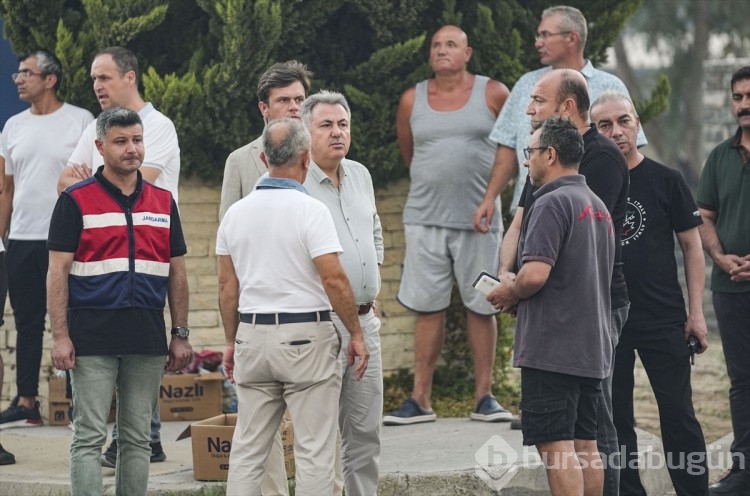 İzmir'in Selçuk ilçesinde orman yangınından görüntüler...

