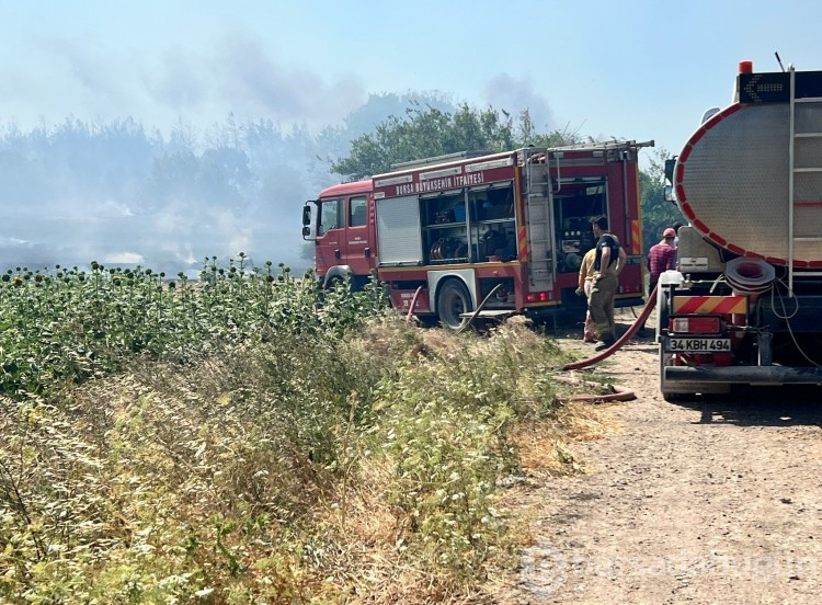 Bursa'da çıkan anız yangını böyle görüntülendi