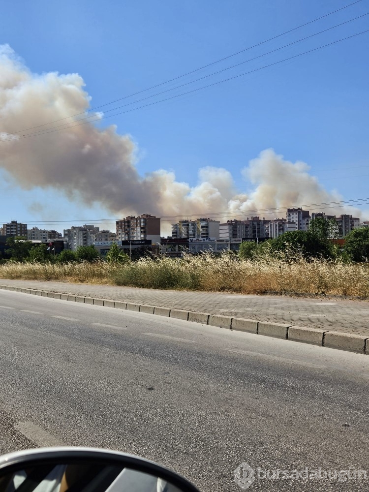 Bursa'da çıkan anız yangını böyle görüntülendi