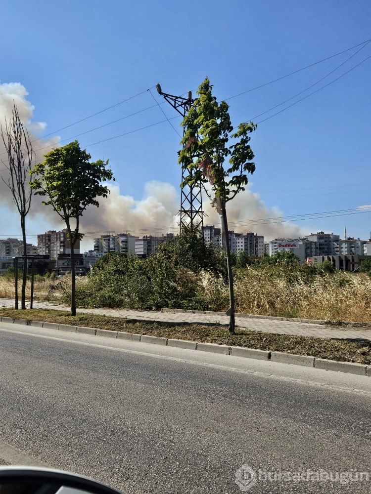 Bursa'da çıkan anız yangını böyle görüntülendi