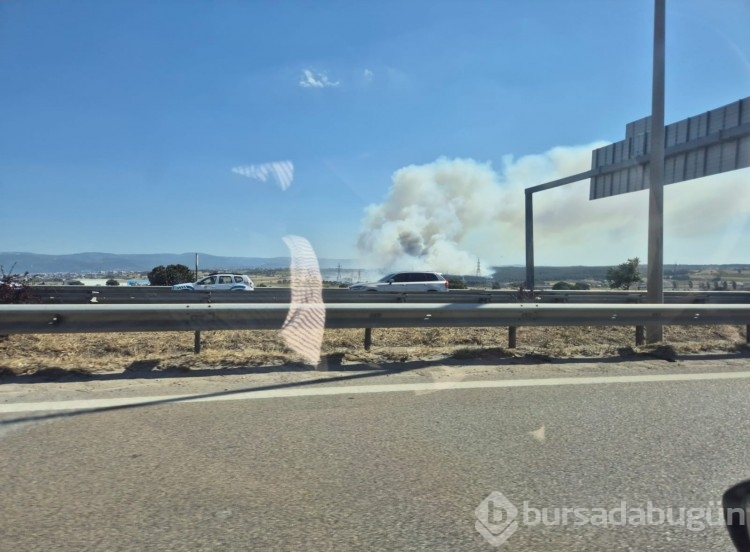 Bursa'da çıkan anız yangını böyle görüntülendi