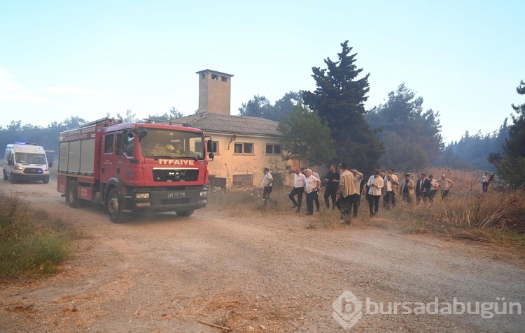 Bursa'da çıkan anız yangını böyle görüntülendi