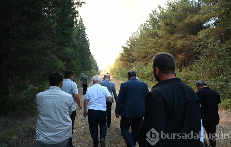 Bursa'da çıkan anız yangını böyle görüntülendi