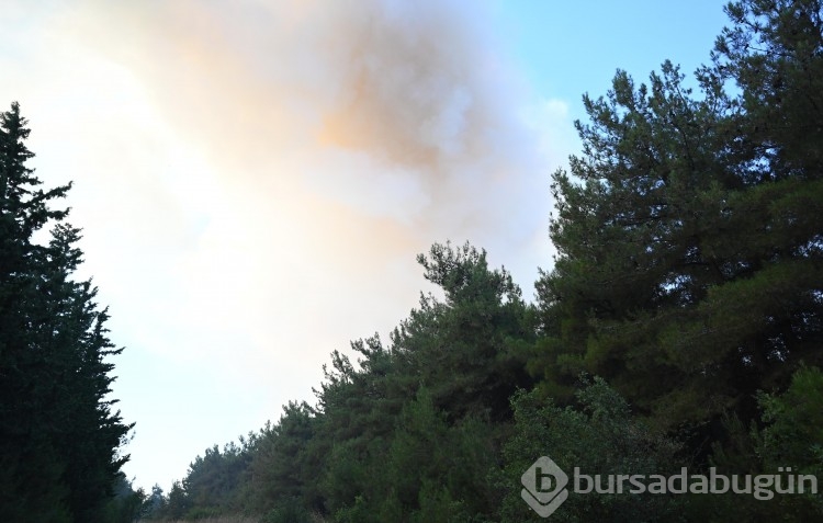 Bursa'da çıkan anız yangını böyle görüntülendi