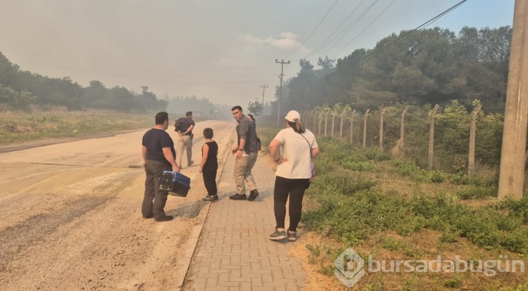 Bursa'da çıkan anız yangını böyle görüntülendi