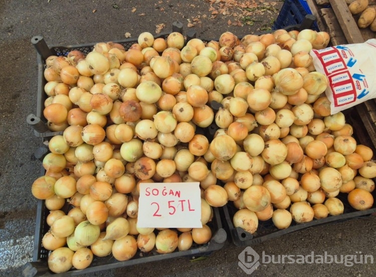 Bursa'da bir pazar alışverişi ne kadar tutuyor? 