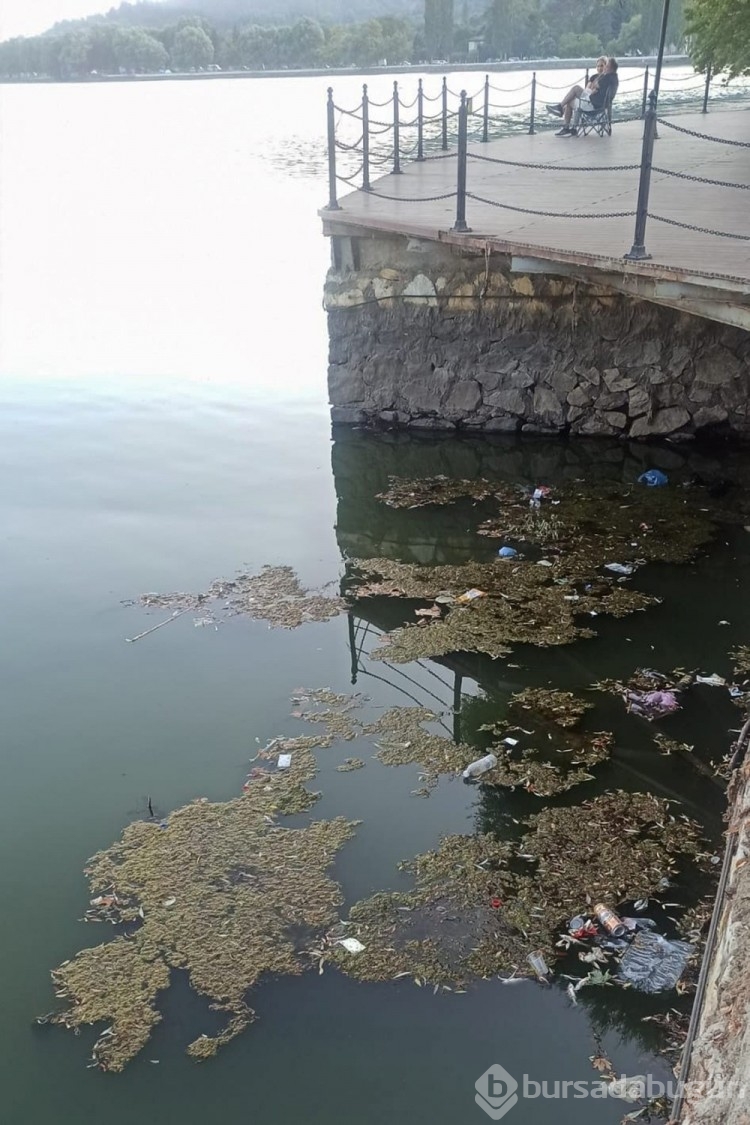 Gölcük Gölü'nde toplu balık ölümleri şaşkınlık yarattı
