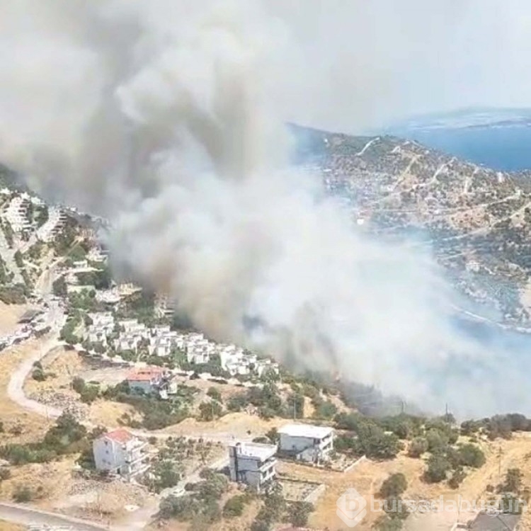 İzmir'de orman yangını: Bir site tahliye edildi
