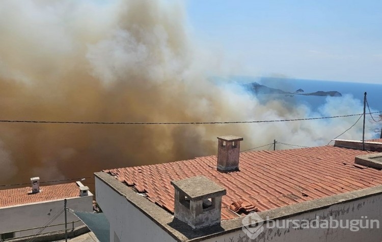 İzmir'de orman yangını: Bir site tahliye edildi
