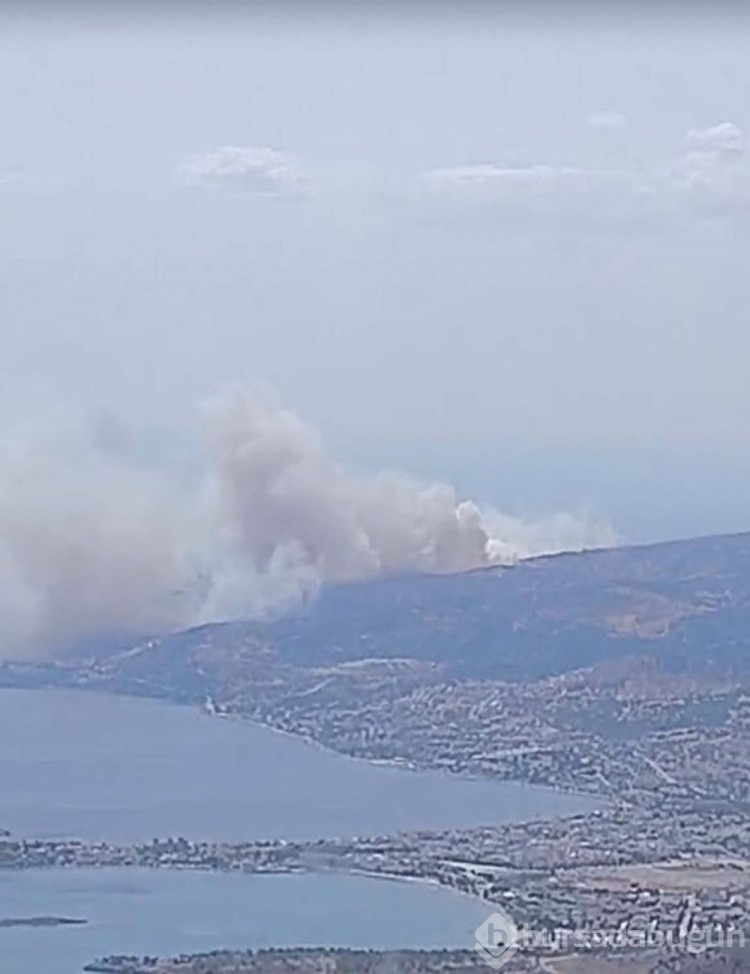 İzmir'de orman yangını: Bir site tahliye edildi
