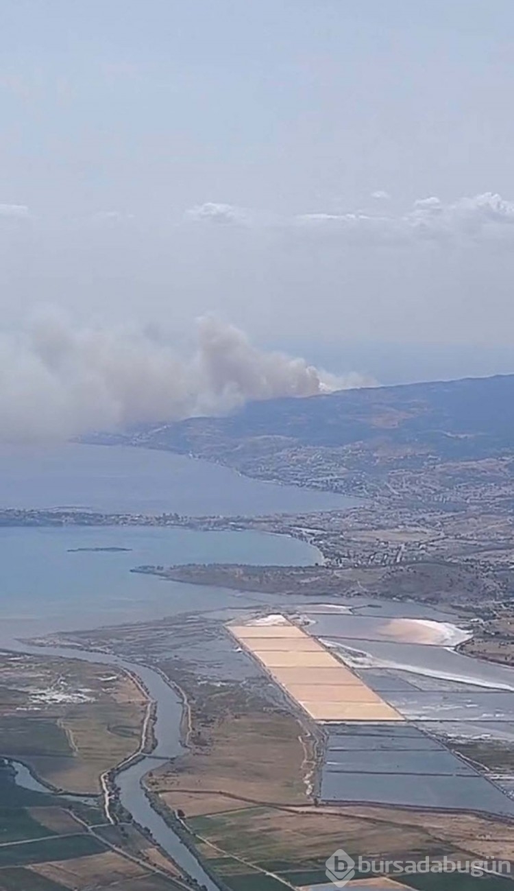 İzmir'de orman yangını: Bir site tahliye edildi
