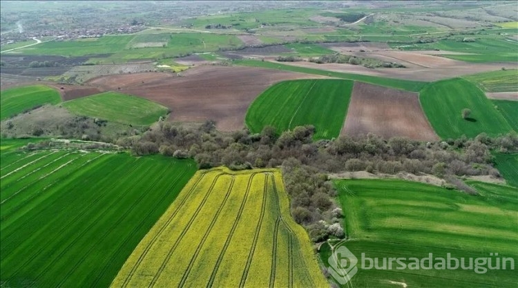 Türkiye'de arsa satışı en çok nerelerde oldu? Bursa kaçıncı sırada? 