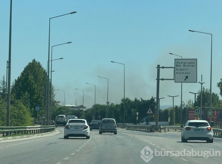 Bursa'da büyük yangın!