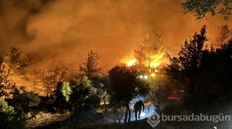 Türkiye orman yangınlarıyla mücadele ediyor: Yangınlar NASA'nın uydu görüntülerine de yansıdı