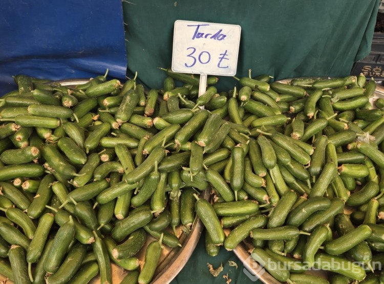 Bursa'da bu hafta pazar fiyatı nasıl?