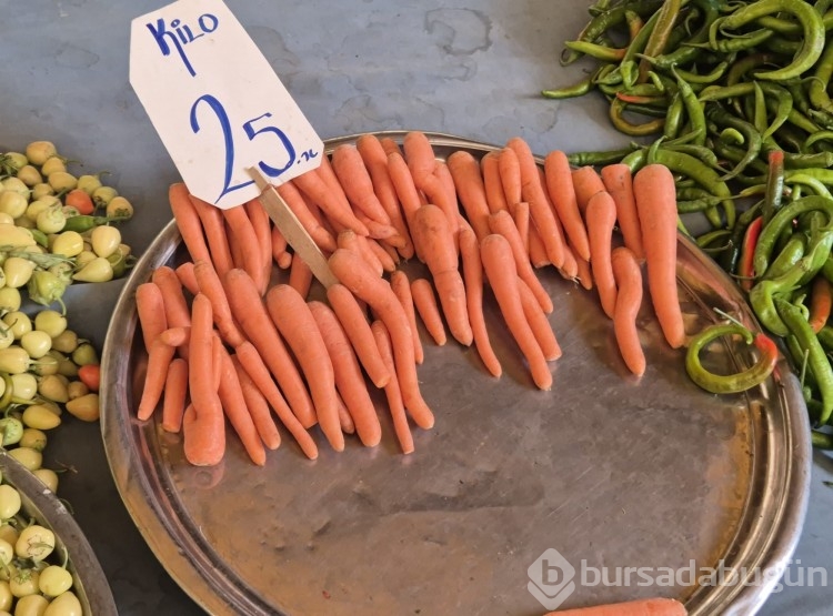 Bursa'da bu hafta pazar fiyatı nasıl?