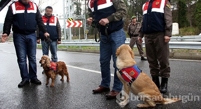Samsun'da uyuşturucu operasyonu!