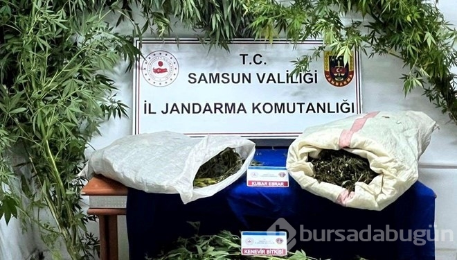Samsun'da uyuşturucu operasyonu!