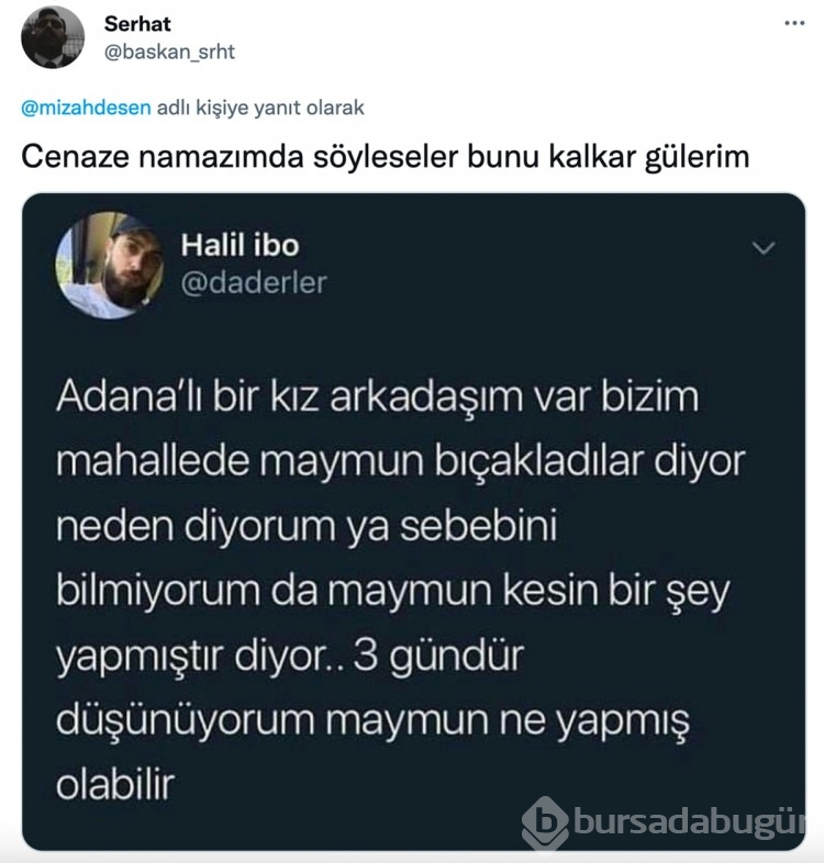 Bu zamana kadar atılmış en komik tweetler! 