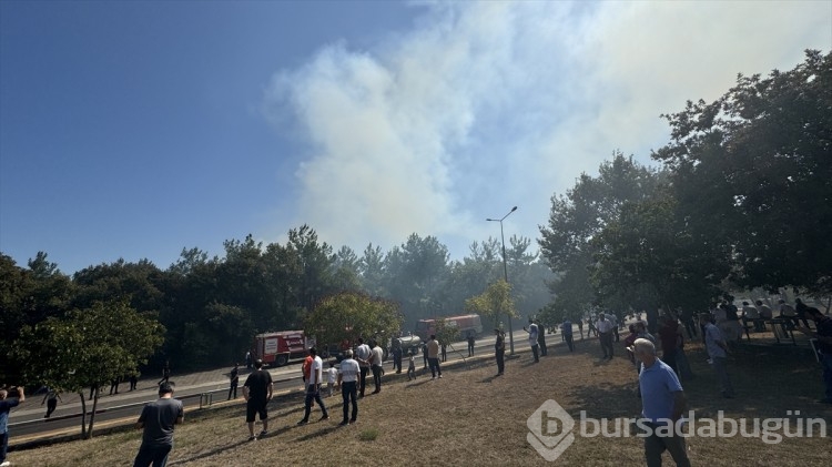 Üniversite kampüsünde yangın çıktı