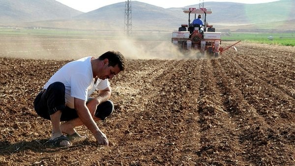 İşlenmeyen tarım arazilerinin kiralanmasında 10 soru 10 cevap