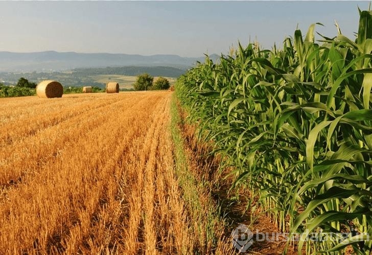 İşlenmeyen tarım arazilerinin kiralanmasında 10 soru 10 cevap