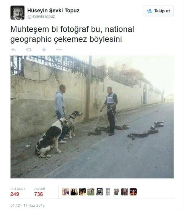 Okumanız gereken en komik Tweetler