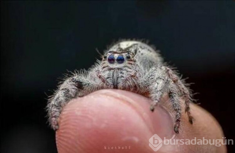 İşte günün en çok paylaşılan ve en ilginç fotoğrafları!
