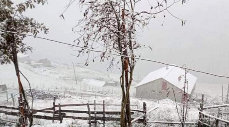 Kar yağdı! Yaylalar beyaz örtüyle kaplandı